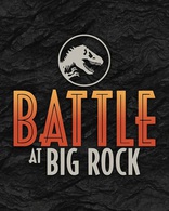 Битва в парке Биг-Рок, постеры