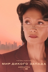 Мир Дикого Запада, постеры