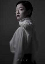 Звонок, постеры