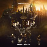 Возвращение в Хогвартс