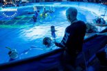 Аватар: Путь воды, со съемок