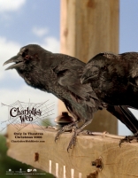 Паутина Шарлотты