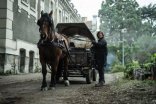 Ходячие мертвецы: Дэрил Диксон, кадры из фильма