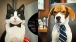 Роджер Мур, кадры из фильма, Роджер Мур, Нил Патрик Харрис, Кошки против собак: Месть Китти Галор