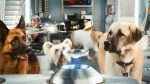 Джеймс Марсден, кадры из фильма, Джеймс Марсден, Джо Пантолиано, Ник Нолти, Кошки против собак: Месть Китти Галор