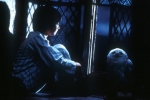 Дэниэл Рэдклифф, кадры из фильма, Дэниэл Рэдклифф, Гарри Поттер и Философский камень