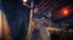 Шевели ластами 3D, кадры из фильма
