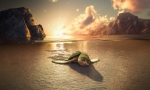 Шевели ластами 3D, кадры из фильма