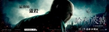 Гарри Поттер и Дары Смерти: Часть первая, баннер