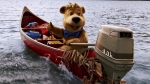 Медведь Йоги, кадры из фильма, Джастин Тимберлейк