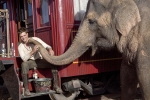 Воды слонам!, кадры из фильма, Роберт Паттинсон