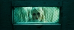 Эмили Браунинг, кадры из фильма, Эмили Браунинг, Запрещенный прием