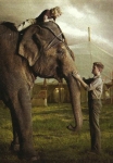 Риз Уизерспун, кадры из фильма, Риз Уизерспун, Роберт Паттинсон, Воды слонам!