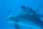 История дельфина, кадры из фильма, Натан Гэмбл