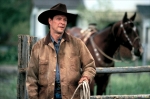 Крис Купер, кадры из фильма, Крис Купер, Заклинатель лошадей