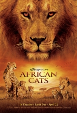 Африканские кошки*, постеры