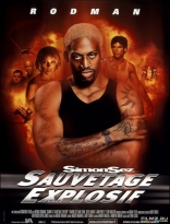 Суперагент Саймон, постеры