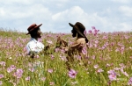 Цветы лиловые полей, кадры из фильма
