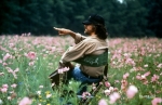Цветы лиловые полей, со съемок, Стивен Спилберг