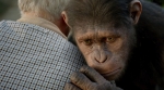 Энди Серкис, кадры из фильма, Энди Серкис, Восстание планеты обезьян