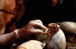 Парк Юрского периода, кадры из фильма, Ричард Аттенборо