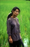 Джоан Чен, кадры из фильма, Джоан Чен, Небо и земля