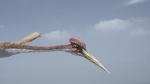 Крылатые монстры 3D, кадры из фильма