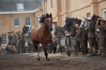 Боевой конь, кадры из фильма
